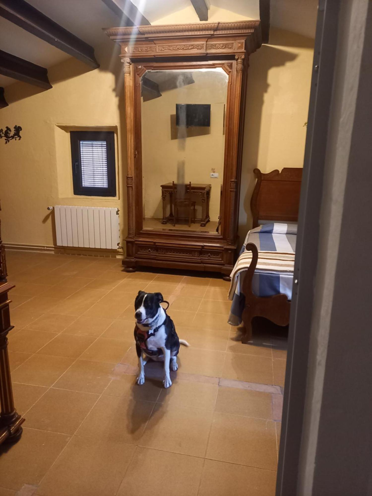 Hostal Rural Mas Blanc San Martín de Centellas Kültér fotó