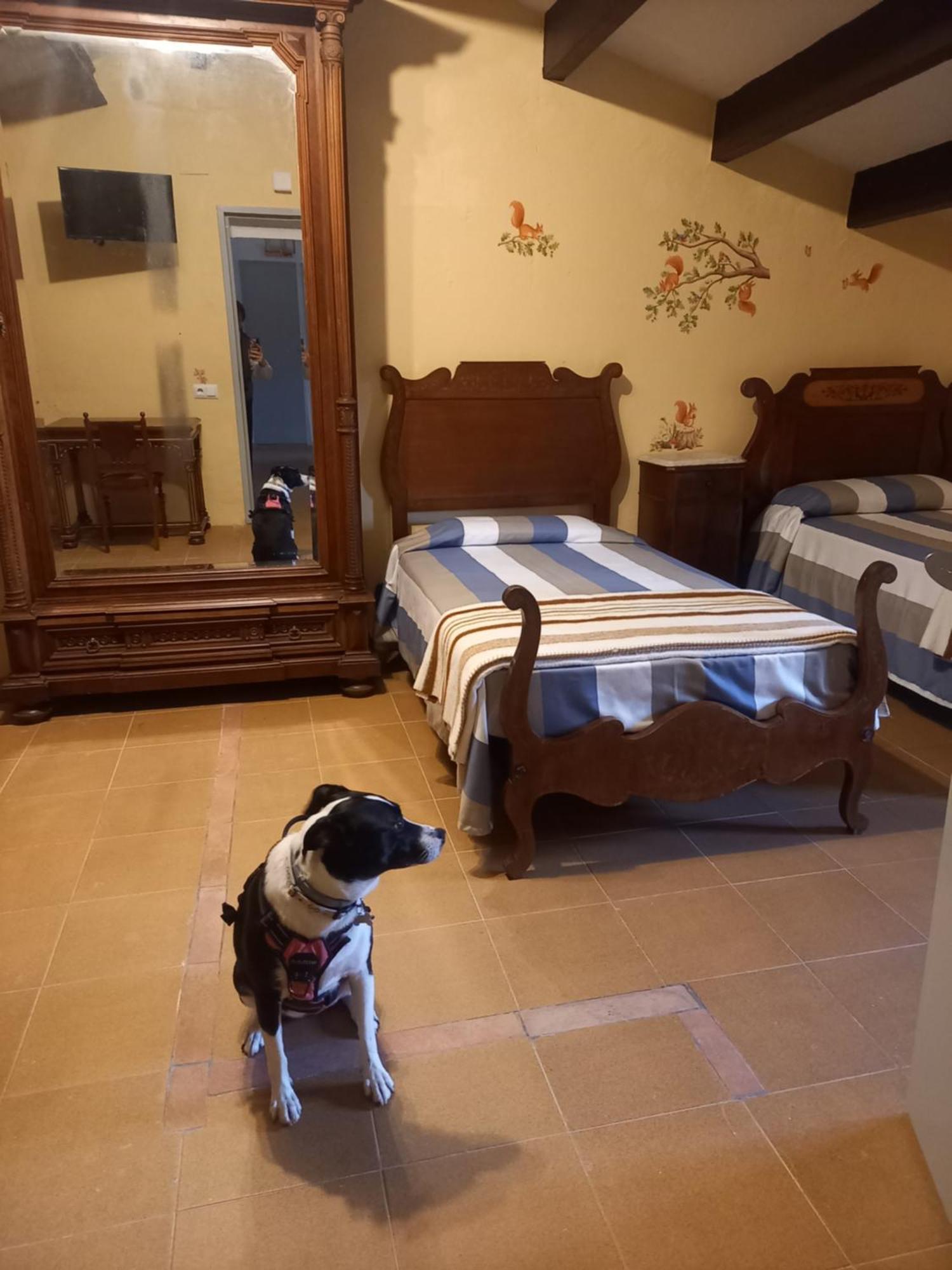 Hostal Rural Mas Blanc San Martín de Centellas Kültér fotó