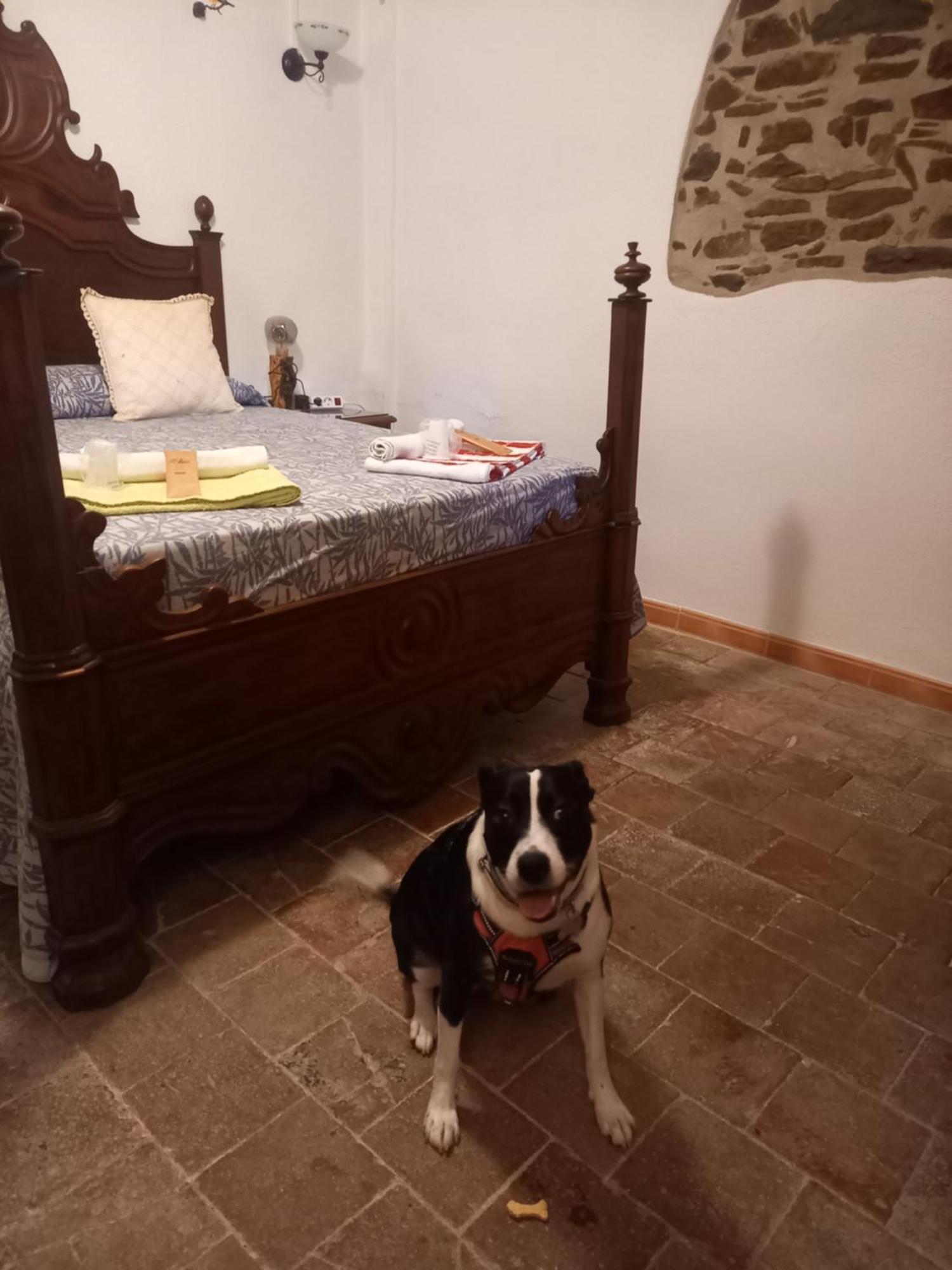 Hostal Rural Mas Blanc San Martín de Centellas Kültér fotó