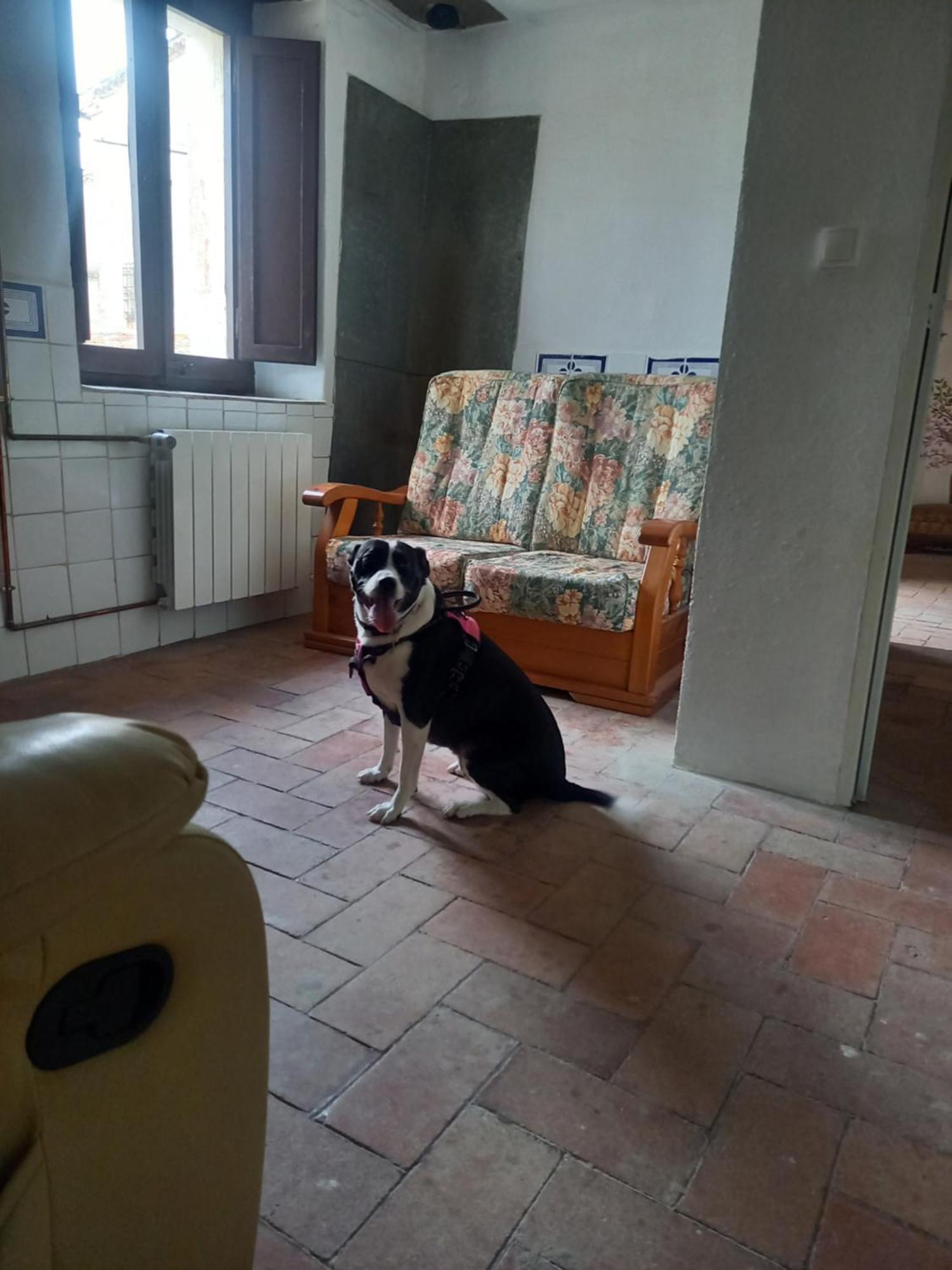 Hostal Rural Mas Blanc San Martín de Centellas Kültér fotó